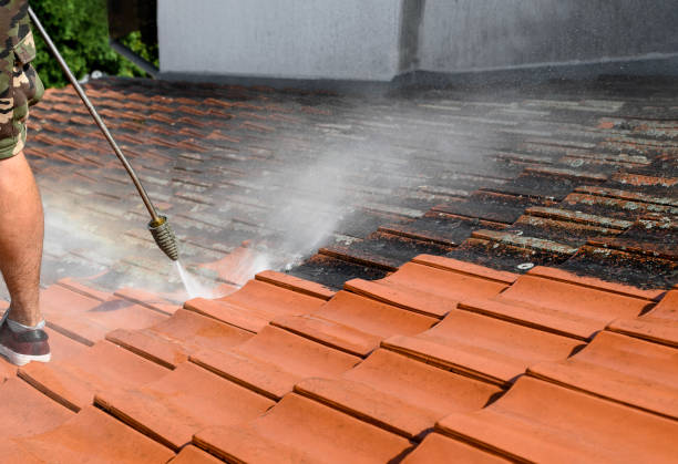 Best Pressure Washing Services Near Me  in Preston, MN