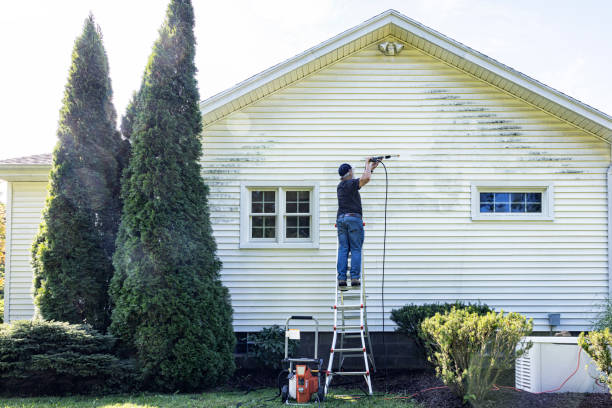 Best Residential Pressure Washing Services  in Preston, MN