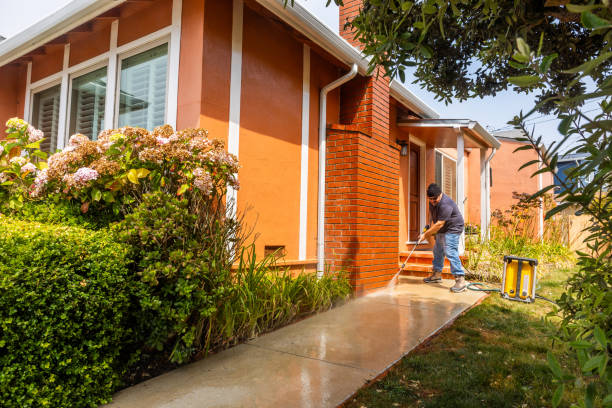 Best Best Pressure Washing Companies  in Preston, MN