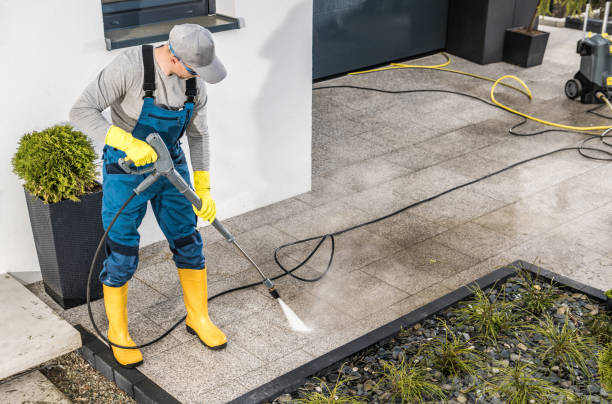 Best Roof Power Washing Services  in Preston, MN